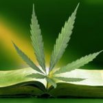 Cannabis In Bible, NONOrthodoxy.com