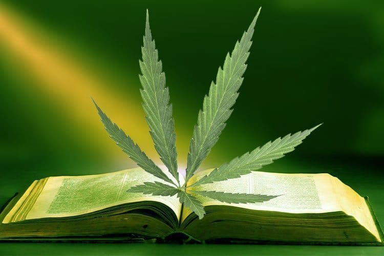 Cannabis Was Main Anointing Oil Ingredient Used In The Bible