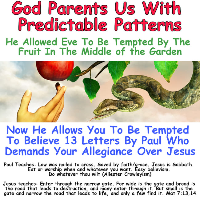 God parents us according to pattern, allowing us to be tempted to believe 13 letters of Paul, NONOrthodoxy