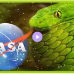 Why On Earth Would Anyone Trust NASA