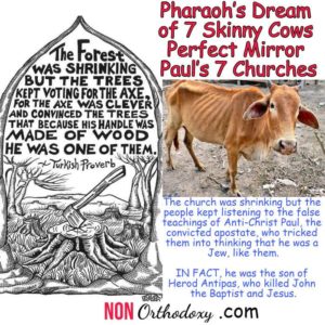 Pharaoh’s Dream of 7 Skinny Cows Perfect Mirror Paul’s 7 Churches, NONOrthodoxy