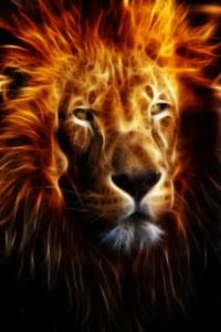 False Apostle Paul: A Roaring Lion