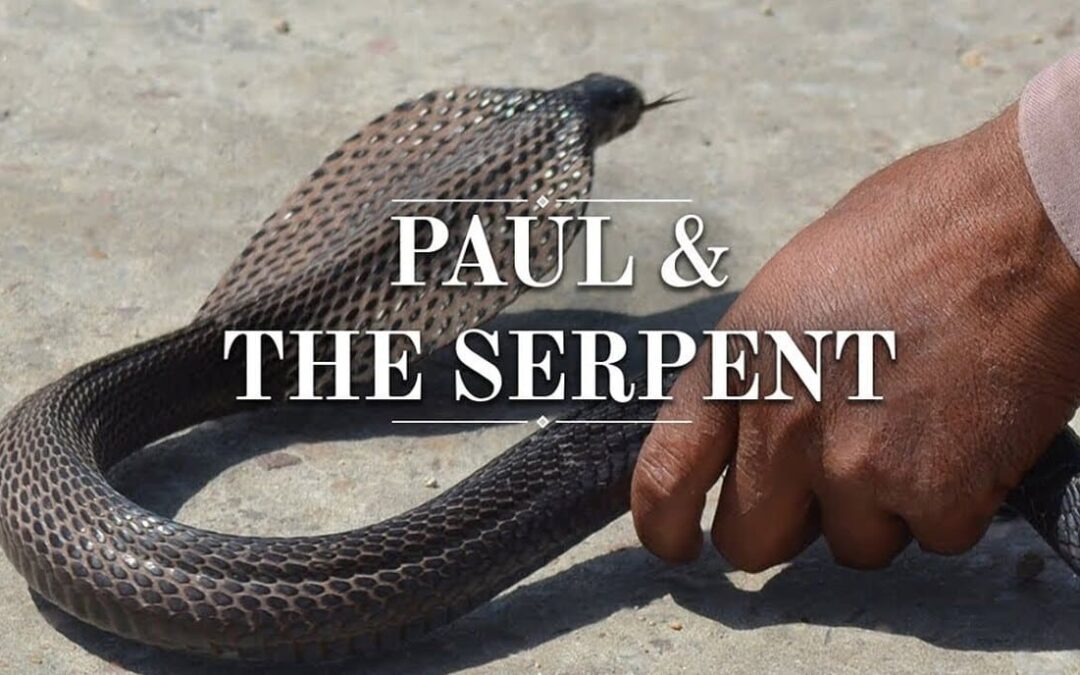 Paul bit hand serpent snake NONOrthodoxy