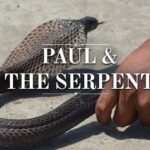 Paul bit hand serpent snake NONOrthodoxy