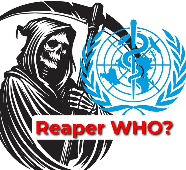 WHO Logo Decoded What Does It Really Mean